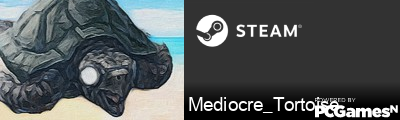 Mediocre_Tortoise Steam Signature