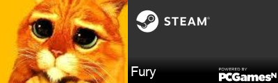 Fury Steam Signature