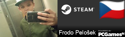 Frodo Pelošek Steam Signature