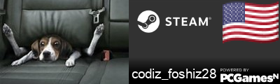 codiz_foshiz28 Steam Signature