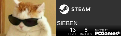 SIEBEN Steam Signature