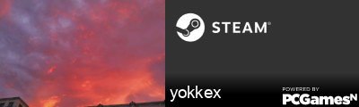 yokkex Steam Signature