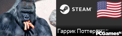 Гаррик Поттерян Steam Signature