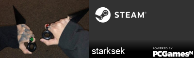 starksek Steam Signature