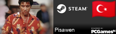 Pisawen Steam Signature