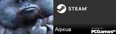 Aqwua Steam Signature