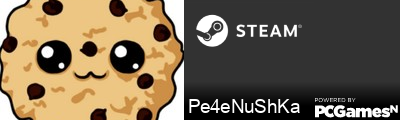 Pe4eNuShKa Steam Signature