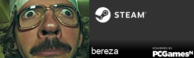 bereza Steam Signature