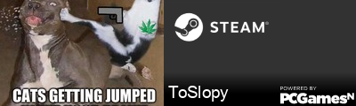 ToSlopy Steam Signature