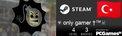 ☣ only gamer †™☠ Steam Signature