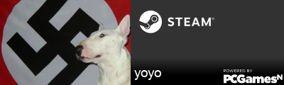 yoyo Steam Signature