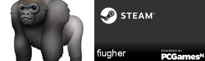 fiugher Steam Signature