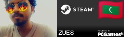 ZUES Steam Signature