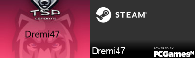 Dremi47 Steam Signature
