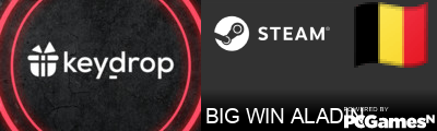 BIG WIN ALADIN Steam Signature