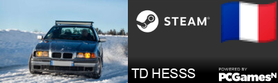 TD HESSS Steam Signature