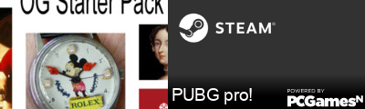 PUBG pro! Steam Signature