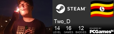 Two_D Steam Signature