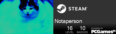 Notaperson Steam Signature