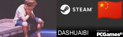 DASHUAIBI Steam Signature
