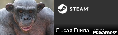 Лысая Гнида Steam Signature