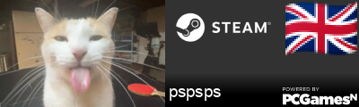 pspsps Steam Signature