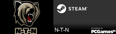 N-T-N Steam Signature