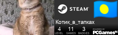 Котик_в_тапках Steam Signature