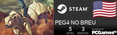 PEG4 NO BREU Steam Signature