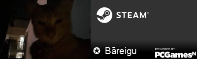 ✪  Bāreigu Steam Signature