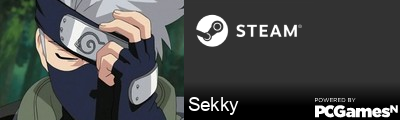 Sekky Steam Signature