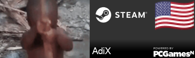 AdiX Steam Signature