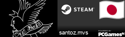 santoz.mvs Steam Signature