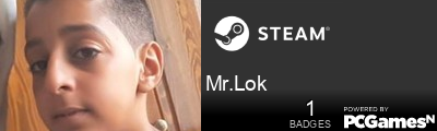 Mr.Lok Steam Signature