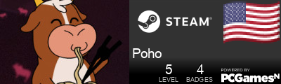 Poho Steam Signature