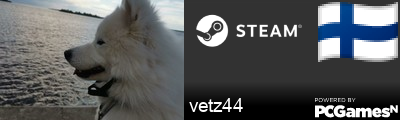 vetz44 Steam Signature