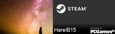 HarelB15 Steam Signature