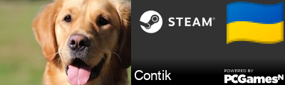Contik Steam Signature