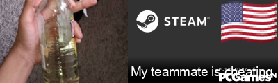My teammate is cheating Steam Signature