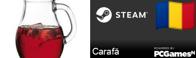 Carafă Steam Signature