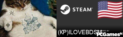 (КР)ILOVEBDSM Steam Signature