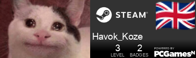 Havok_Koze Steam Signature