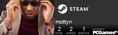 mottyn Steam Signature