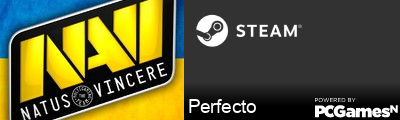 Perfecto Steam Signature
