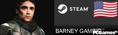 BARNEY GAMING Steam Signature