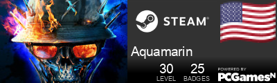 Aquamarin Steam Signature