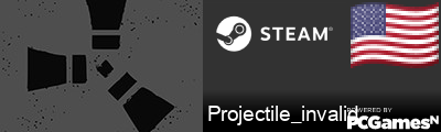 Projectile_invalid Steam Signature