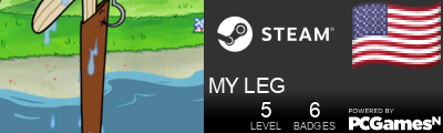 MY LEG Steam Signature