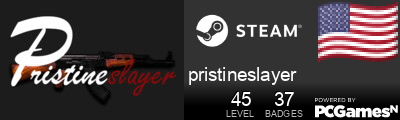 pristineslayer Steam Signature