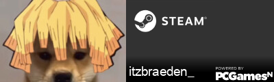itzbraeden_ Steam Signature